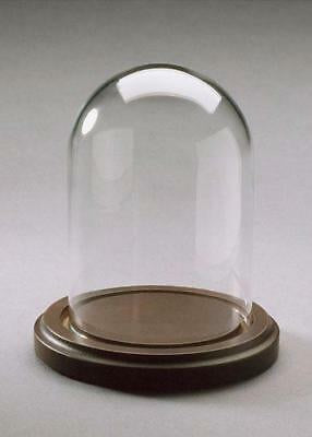 Glass Dome with Wood Base